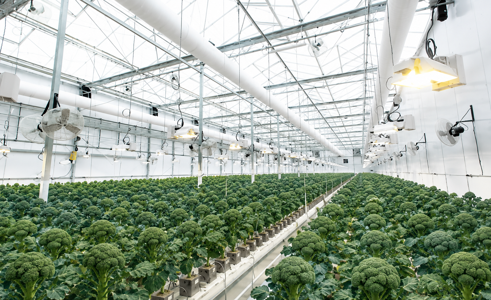 Zuverlässige Produktionsmengen – planbare Erträge
